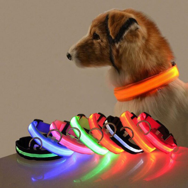 LED Dog Collar USB Rechargeable Luminous Glow in Dark Safety Pet Collar Breathable Nylon Reflective Pet Collars for dog and cat