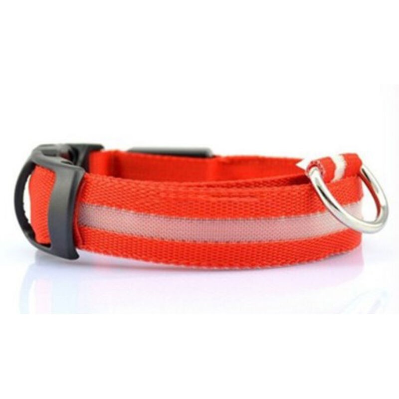 LED Dog Collar USB Rechargeable Luminous Glow in Dark Safety Pet Collar Breathable Nylon Reflective Pet Collars for dog and cat - Image 4
